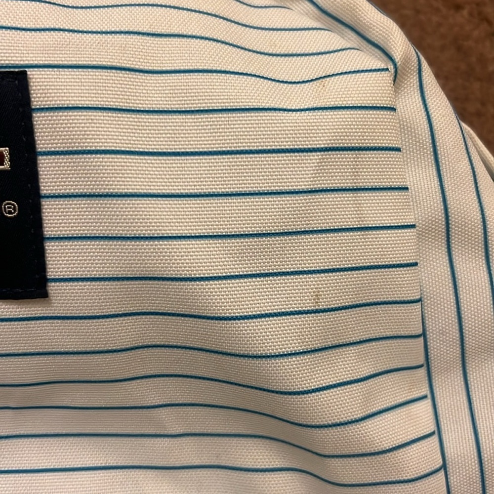 white with blue stripes Jansport backpack - Picture 5 of 8